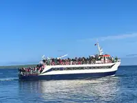 250 DAY PAX FERRY TOUR BOAT FOR SALE