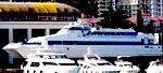 Sale Passenger speed catamaran Westamaran 4100S