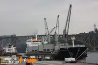 MV Cielo di Capalbio 36.600 dwt - blt 2012 - HMD, S'Korea