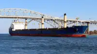CM1064 HANDYSIZE BULK CARRIER 35000 DWT/1999 JAPANESE BLT FOR SALE