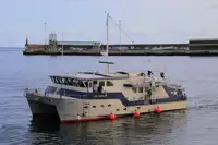 17m Catamaran Workboat